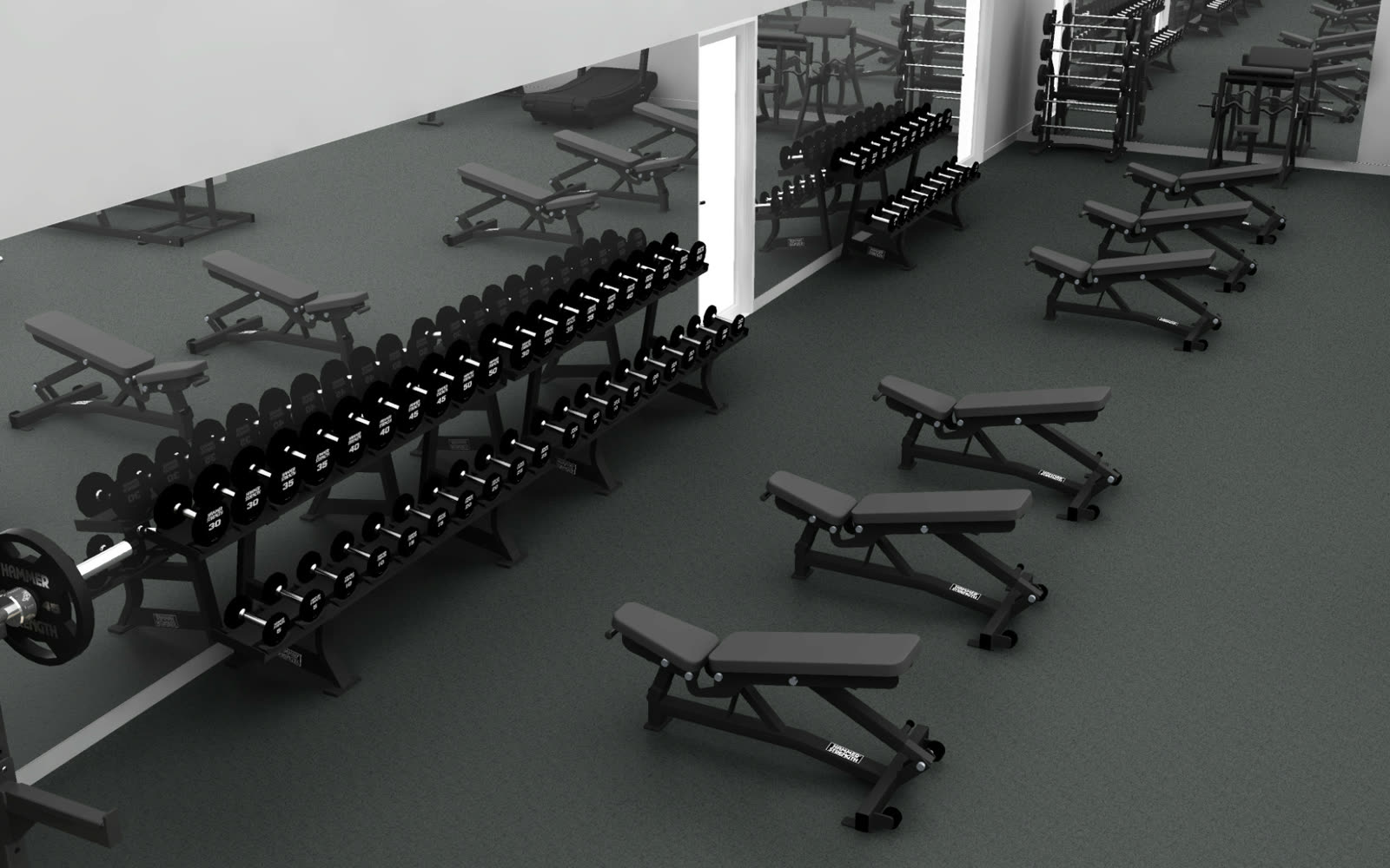 Hammer Strength dumbbells and adjustable benches